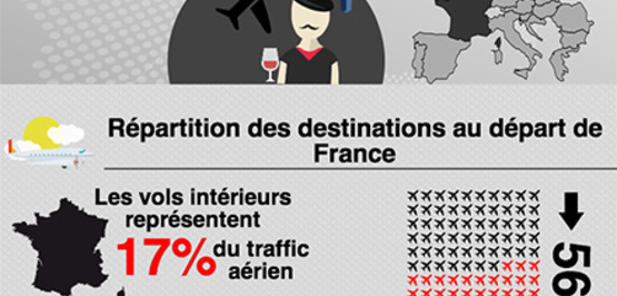 Infographie : Zoom sur les aéroports en France